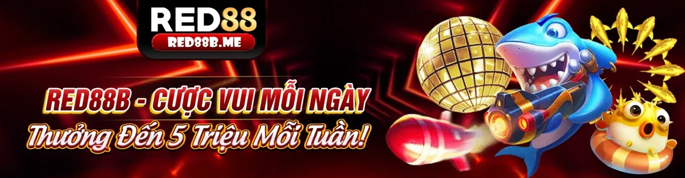 Hình ảnh chính blog x8bet link vào với các bài viết chuyên sâu về cá cược trực tuyến